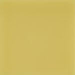 Maracujá Amarelo